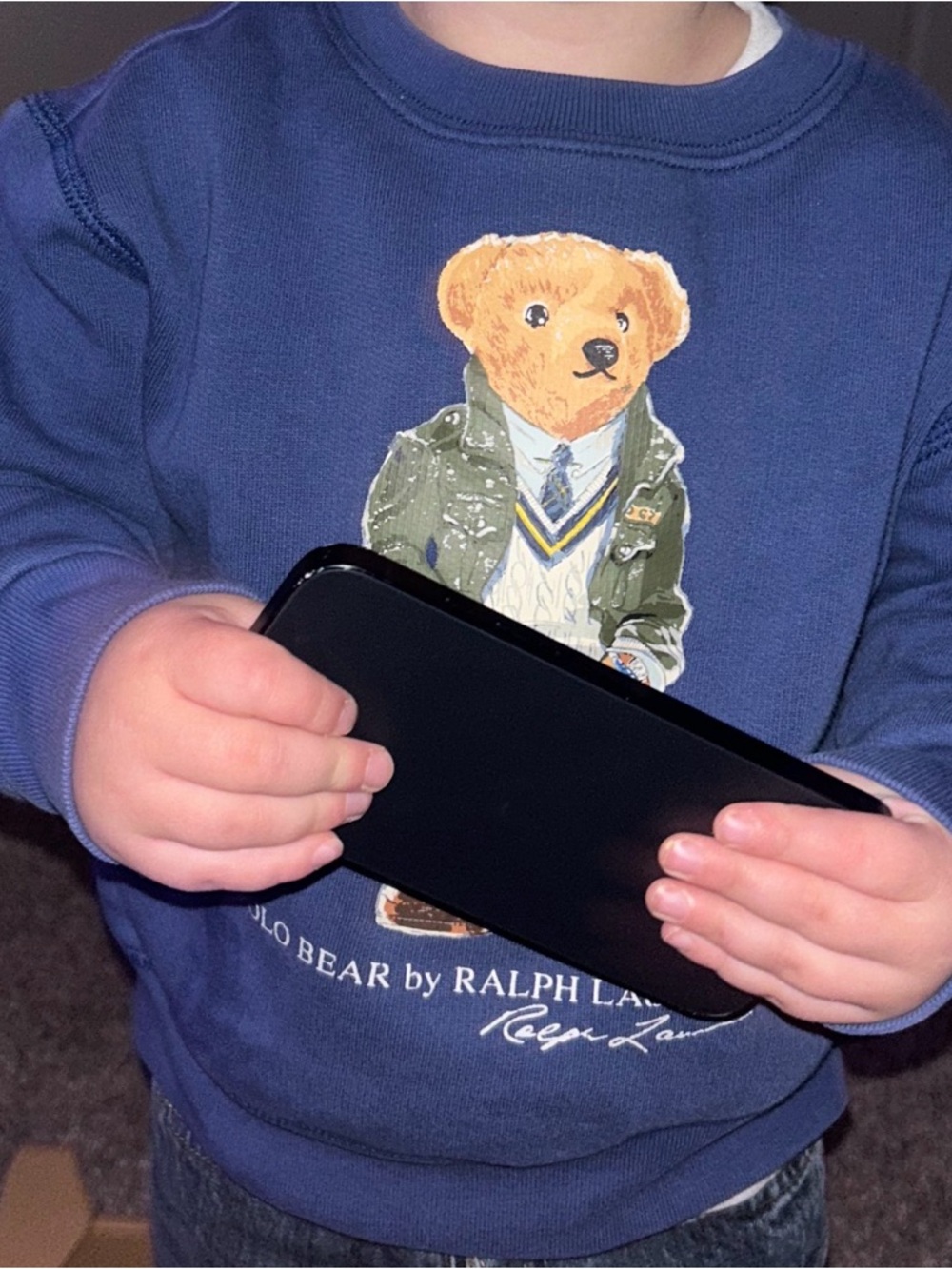 Polo by Ralph Lauren Blue Kids Polo Bear Sweatshirt - Picture 4 of 6